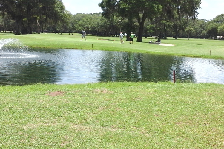 View of golf course green